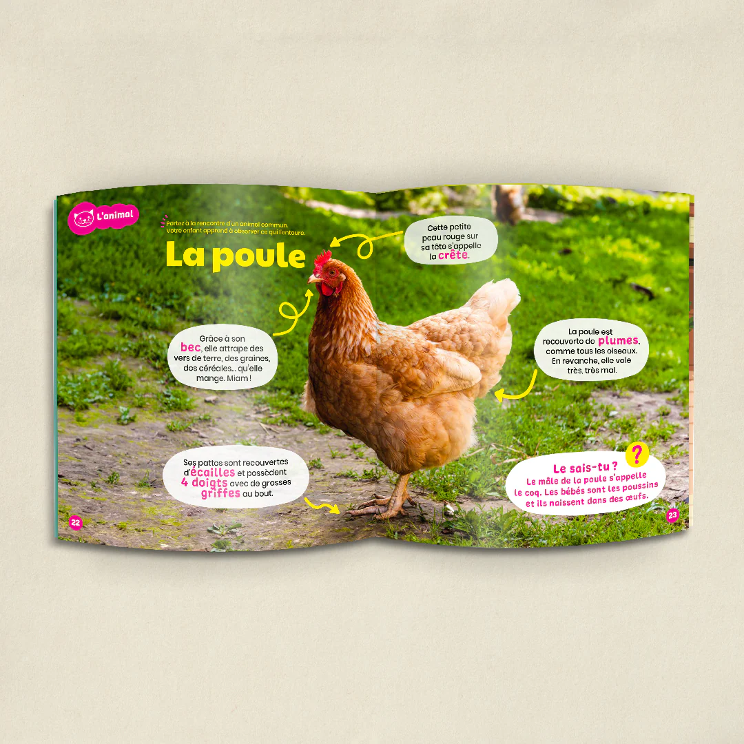 Le squelette – Image 6
